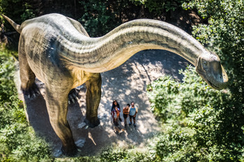 Schätze aus dem Jurameer - Erlebnisse für Dinofans im Naturpark Altmühltal